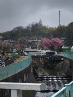 神奈川区菅田町