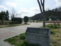 公園の撮影写真です。