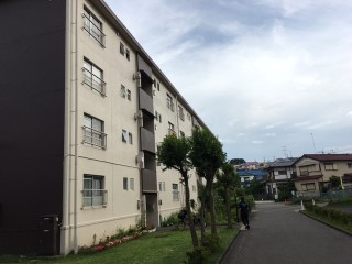 集合住宅に配布いたします。